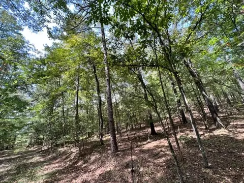 Grayling Lane, Watson, OK 74963 photo 10