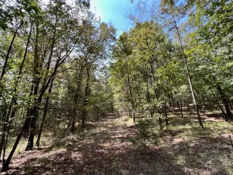 Grayling Lane, Watson, OK 74963 photo 7