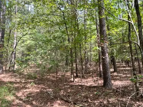 Grayling Lane, Watson, OK 74963 photo 4