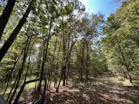 Grayling Lane, Watson, OK 74963 photo 8