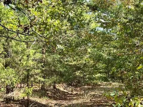 Grayling Lane, Watson, OK 74963 photo 14