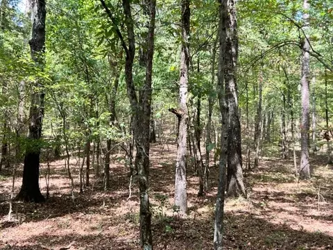 Grayling Lane, Watson, OK 74963 photo 11