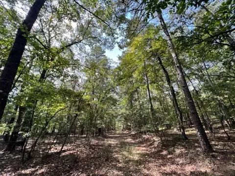 Grayling Lane, Watson, OK 74963 photo 9