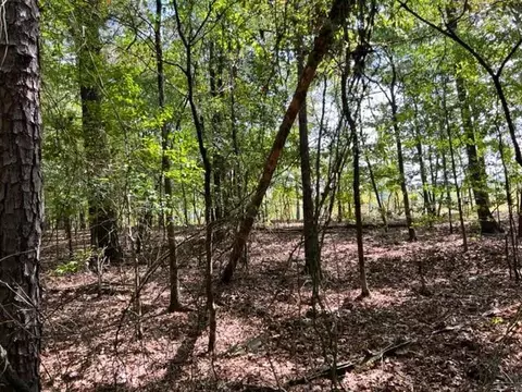 Grayling Lane, Watson, OK 74963 photo 5