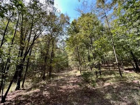 Grayling Lane, Watson, OK 74963 photo 7