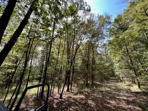 Grayling Lane, Watson, OK 74963 photo 8