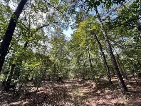 Grayling Lane, Watson, OK 74963 photo 9