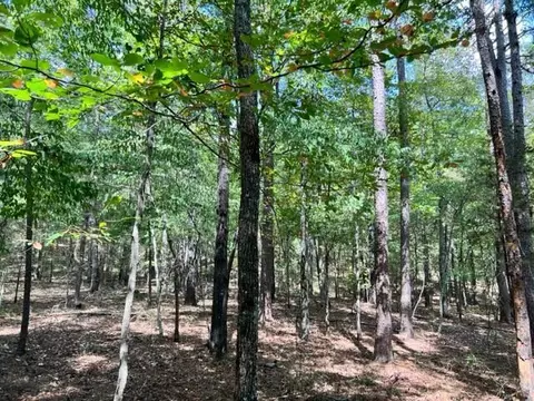 Grayling Lane, Watson, OK 74963 photo 12