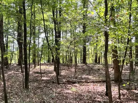 Grayling Lane, Watson, OK 74963
