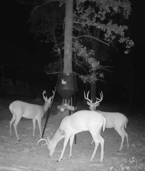 0002 S 3340 10 Acres Rd, Harrah, OK 73045 photo 6