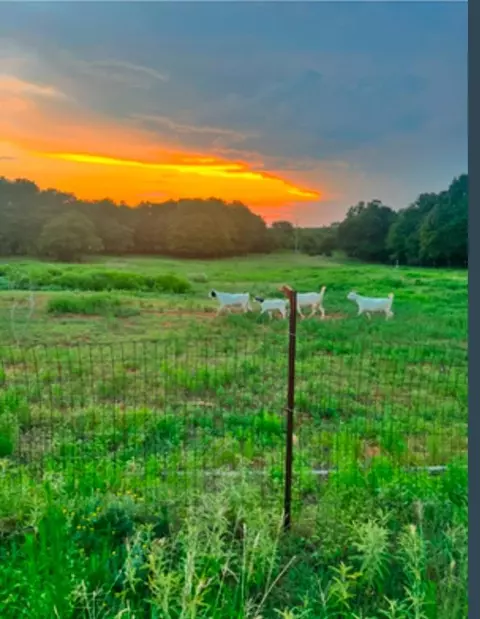 20835 Macarthur Ave, Blanchard, OK 73010 photo 13