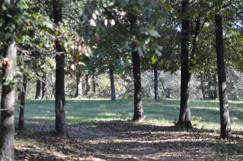 11323 E Franklin Rd, Norman, OK 73026 photo 9