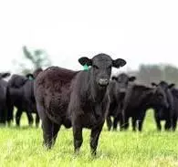 132 N 51 Hwy Hwy, Hennessey, OK 73742