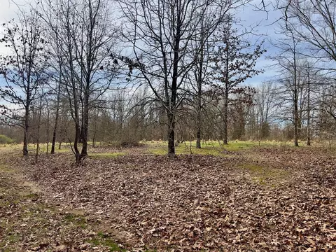 371 Ridge Rd, Watson, OK 74963 photo 16