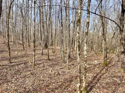 371 Ridge Rd, Watson, OK 74963 photo 38