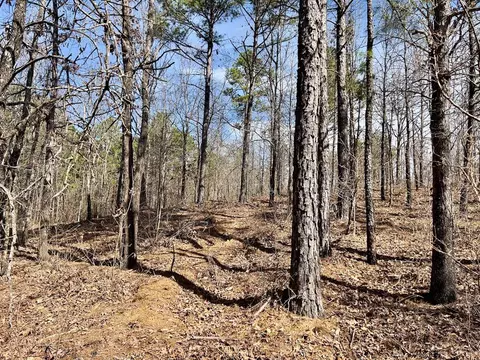 371 Ridge Rd, Watson, OK 74963 photo 44