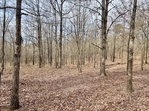 371 Ridge Rd, Watson, OK 74963 photo 6