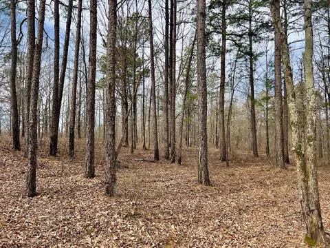 371 Ridge Rd, Watson, OK 74963 photo 26