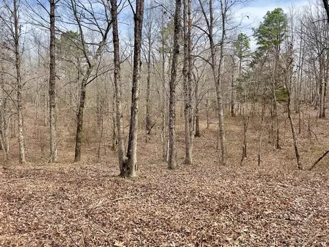 371 Ridge Rd, Watson, OK 74963 photo 25