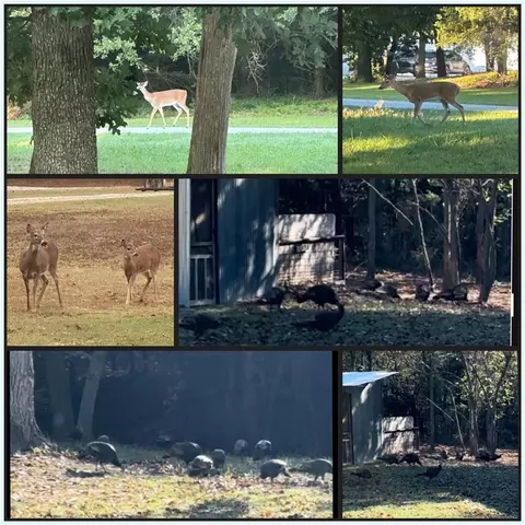 201 Our Rd, Mcloud, OK 74851 photo 45
