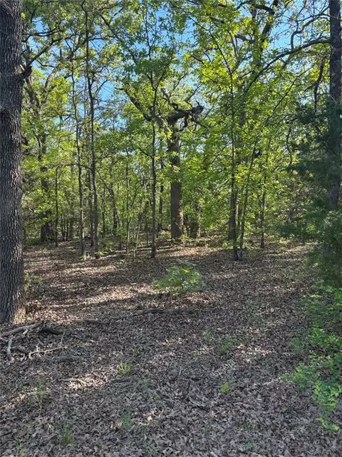 29880 S Hamilton Rd, Macomb, OK 74852 photo 16
