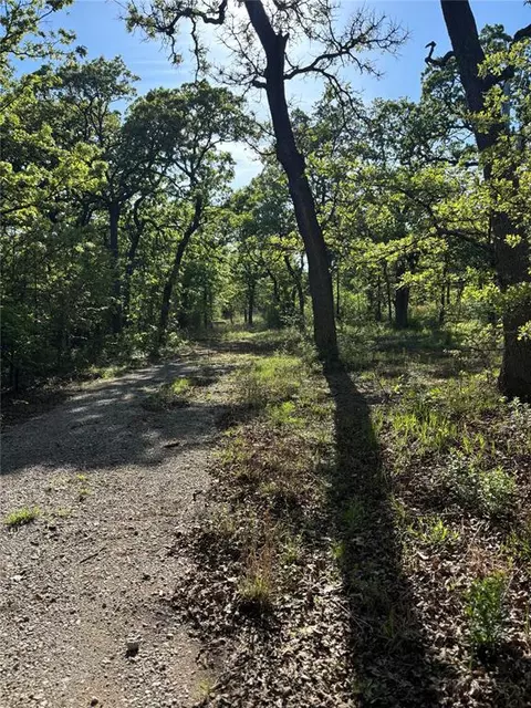 29880 S Hamilton Rd, Macomb, OK 74852 photo 14