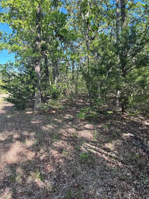 29880 S Hamilton Rd, Macomb, OK 74852 photo 19