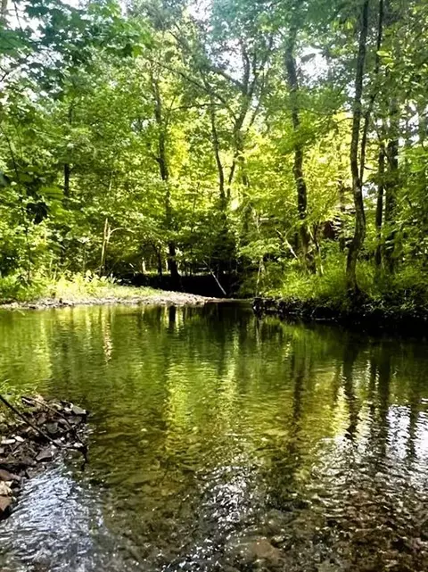 View/Area - 62 Fork Creek Trl, Broken Bow, OK 74728 photo 1 of 1