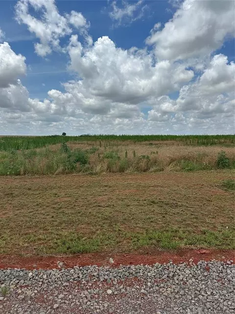 30786 White Horse Ln, Cashion, OK 73016