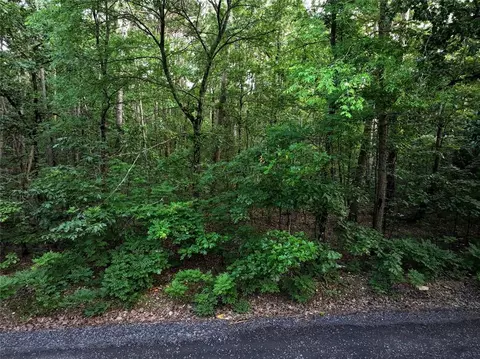 0 Pilotfish Rd, Broken Bow, OK 74728 photo 3