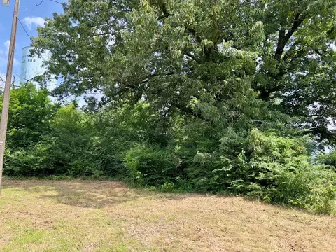 991 Skipjack Rd, Eagletown, OK 74734 photo 16