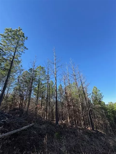 79 Vine Ct, Broken Bow, OK 74728 photo 5