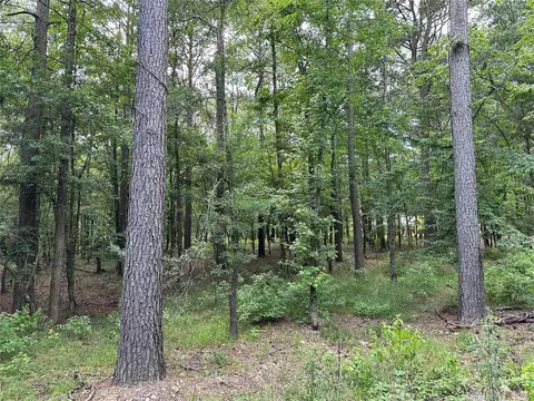 46 Lazy River Ln, Broken Bow, OK 74728