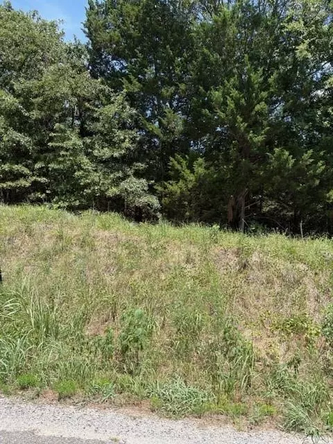 N Tbd Chickasaw Street, Colbert, OK 74733