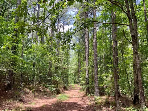 60 Trout Creek Rd, Watson, OK 74963