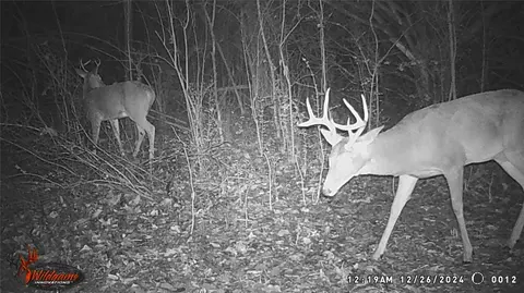 Other - 7111 Etowah Rd, Noble, OK 73068 photo 6 of 6