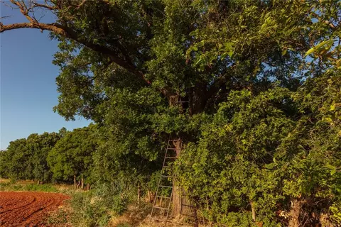 000 E 980 Rd, Hammon, OK 73650 photo 8