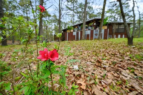 15 Pilotfish Rd, Broken Bow, OK 74728 photo 2