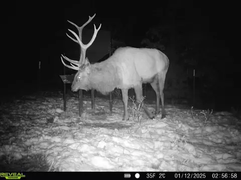 0000 Cr 3840, Coalgate, OK 74538