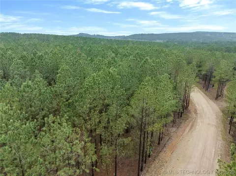 124 Hochadogwood Trl, Broken Bow, OK 74728