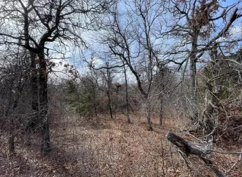 lot14 Toad Rd, Harrah, OK 73045 photo 4