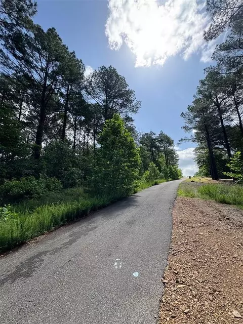 49 Blue Maple Trl, Broken Bow, OK 74728 photo 3