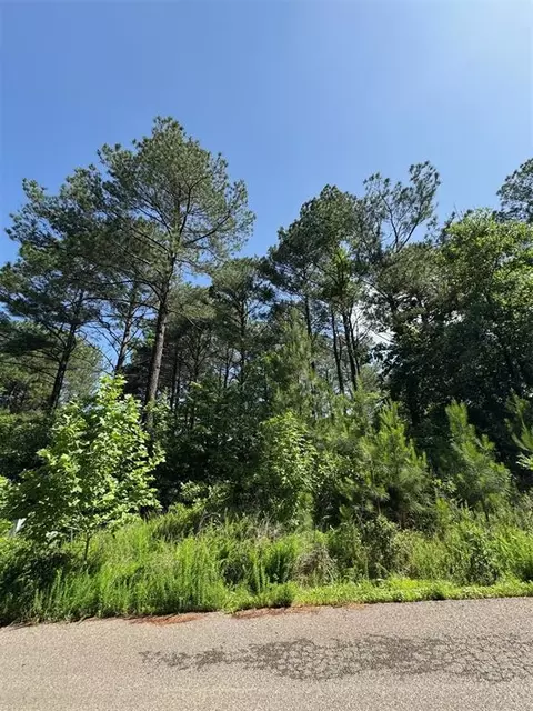 49 Blue Maple Trl, Broken Bow, OK 74728 photo 10