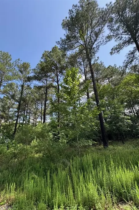 49 Blue Maple Trl, Broken Bow, OK 74728 photo 7