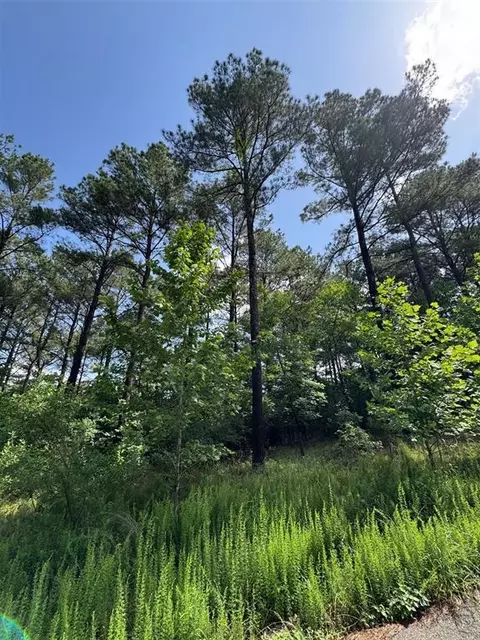 49 Blue Maple Trl, Broken Bow, OK 74728 photo 2