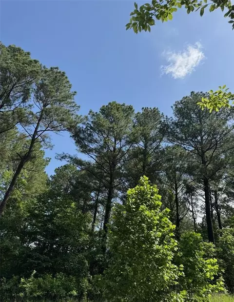 49 Blue Maple Trl, Broken Bow, OK 74728 photo 6