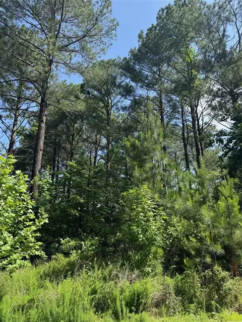 49 Blue Maple Trl, Broken Bow, OK 74728 photo 8