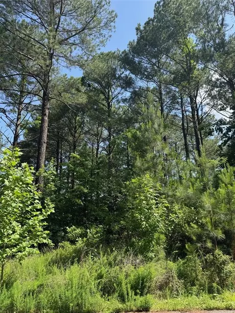 87 Blue Maple Trl, Broken Bow, OK 74728 photo 9