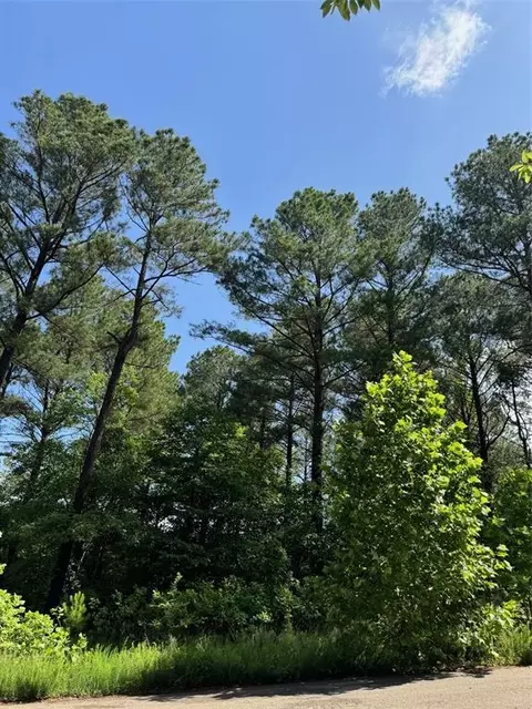 87 Blue Maple Trl, Broken Bow, OK 74728