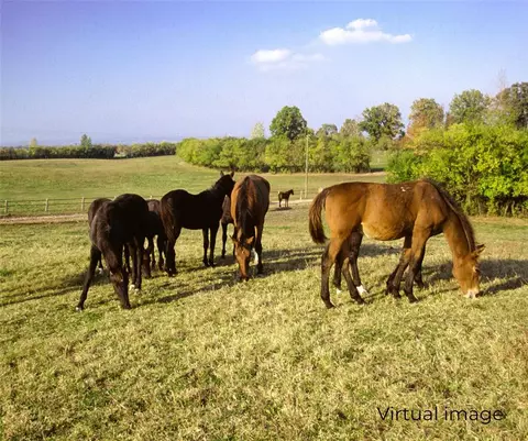 5601 Etowah Rd, Noble, OK 73068 photo 9